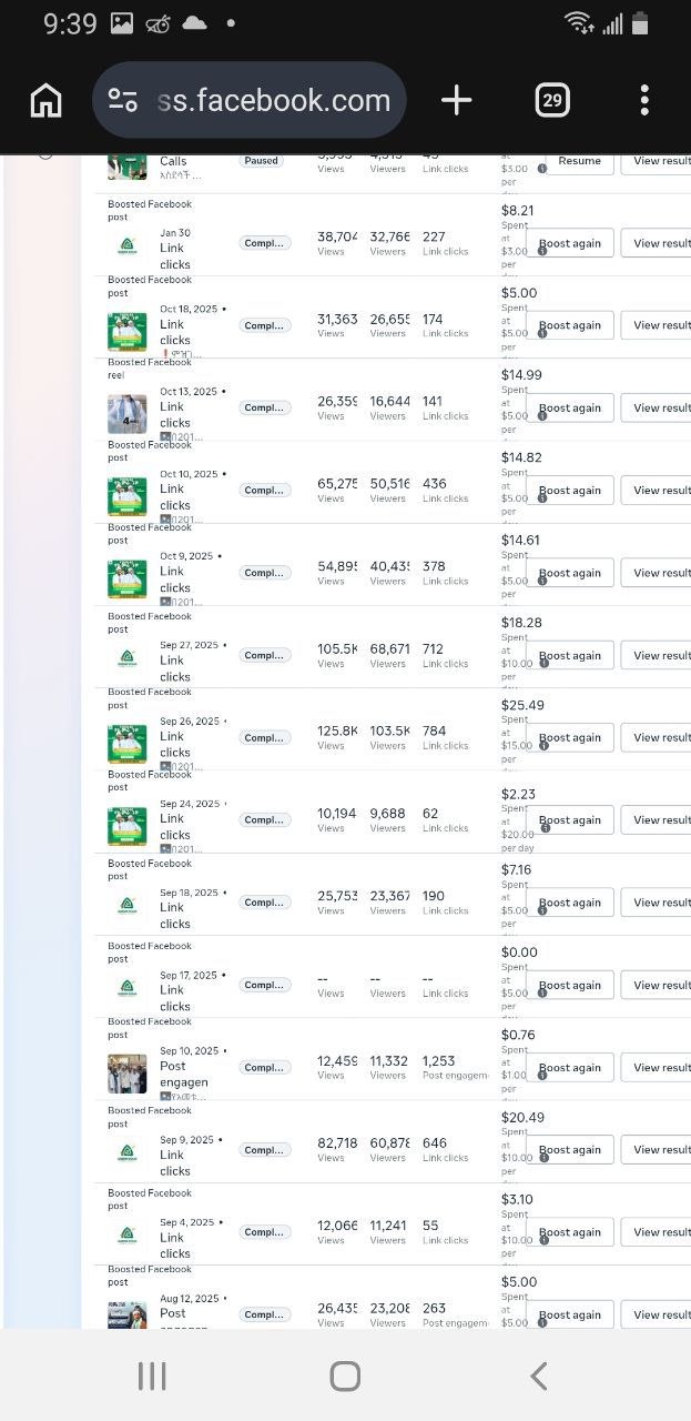 Meta Ads campaign results